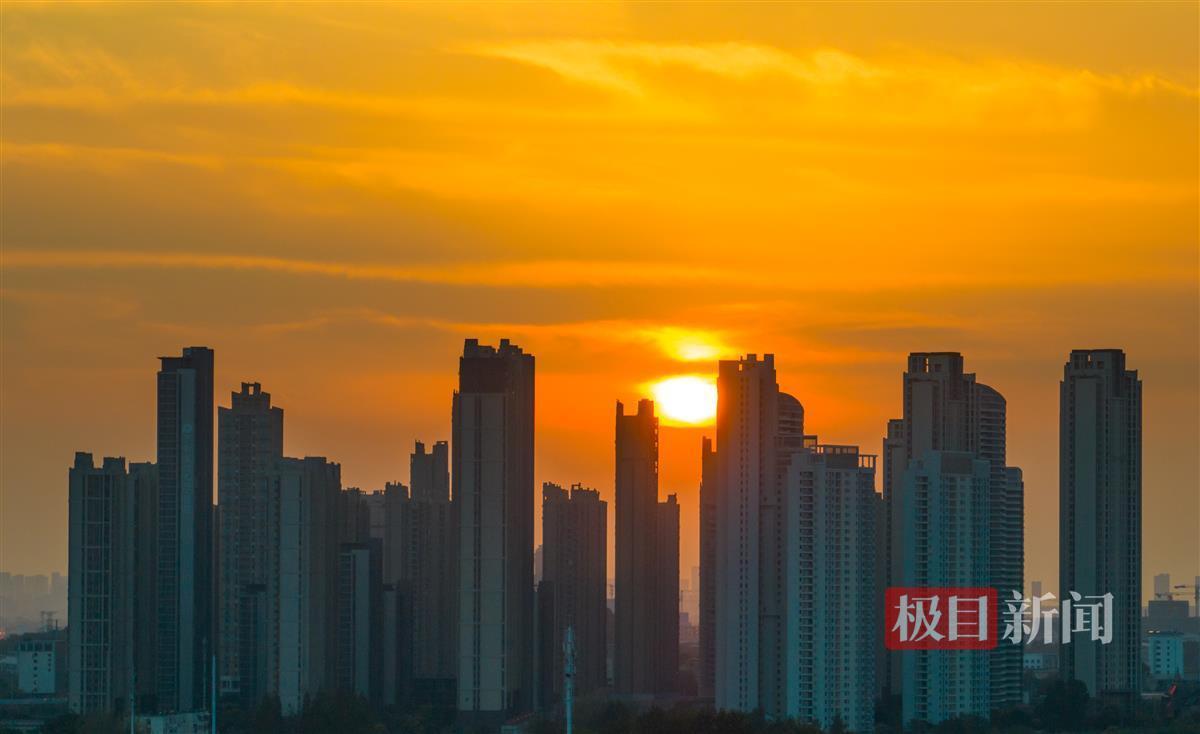 羽林娱乐